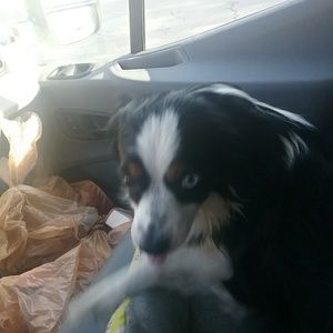 Meet your Posher, Steven